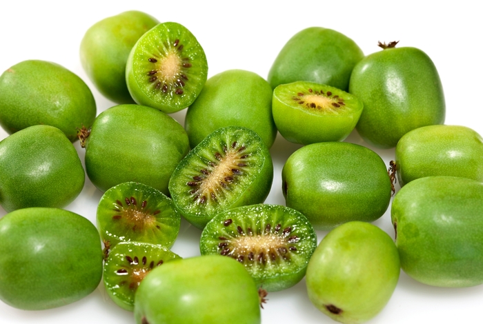 'Issai' Hardy Kiwi - Actinidia arguta from Miller Landscaping Supply